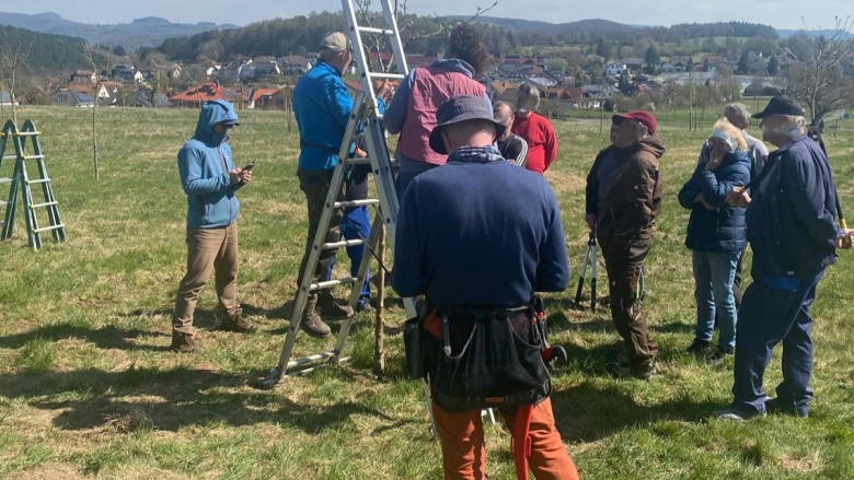 Obstbaumpflege Kurs in Dietershausen